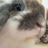 どど～～～ん！！！