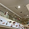 【思春期早発症】思春期早発症、リュープリン注射１４回目