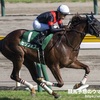 【競馬】マイルチャンピオンシップはセリフォスが勝利