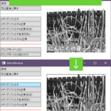 メディアンフィルタで画像のノイズ除去試してみた、WPF、C#