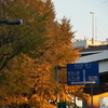 冬支度の街角 夕景  『ホテルニューグランドの中庭～山下公園』横浜山下町