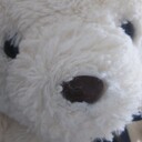 弱いおたくが色々してる