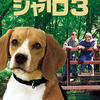 DVD / ビーグル犬 シャイロ 3-最終章-特別版