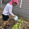 年長組　〜 園庭遊びの様子 〜