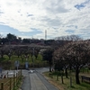 習志野　梅林園　その二十四