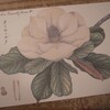 好きというのはこういうことなんだな