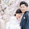 春の和装前撮り！京都の桜と白無垢姿の相性は？？