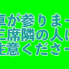 街で気になる人