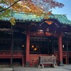 【赤坂氷川神社】都内最強の縁結びパワースポット～東京十社めぐり