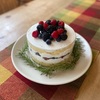 今年のクリスマスはスコップケーキでいく！
