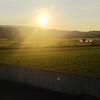 少しは見えてきたのか？ランニングフォーム。周りの景色は良いもんだ！