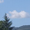背中に汗して働く！のであります！