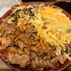 【シリーズ最終回】すき家 ボーノ相模大野店〜牛丼キング／コチュジャン／3種のとろ〜りチーズ／高菜明太マヨ／トッピング牛丼／総重量1キロ超え／デカ盛り〜