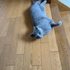 「いつも通り」が、いちばん