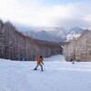 今日もスキーの練習