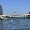隅田川テラス3キロ：筋肉痛＋体のだるさで3キロ少々まで