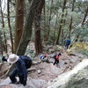 本宮山　（宝印祭）　豊川市