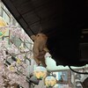 【新宿思い出横丁】ささもと：ブタさん復活・・・毎週火曜日のもつ焼きにキンミヤで一杯は続いています