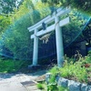 山を走る