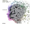ヤコブ・ホーヴィ『予測する心』（佐藤亮司・監訳、太田陽、次田瞬、林禅之、三品由紀子・訳）（一部）