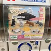 【ガチャ活】【じゃまにまるシリーズ じゃまニャンか】セブンイレブンの店内にもガチャガチャ設置するのは反則でしょ？？