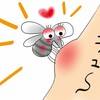 日本で【ヒアリ】がブイブイしているみたいですが、ベトナムでは【デング熱】が猛威を振るっています。