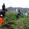 農用水路の土上げ作業