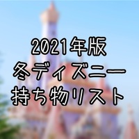 保存版 夏ディズニーの持ち物 コロナ 熱中症対策はこれでok 究極雨女ほのぷーのディズニー放浪記