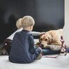 犬の夜泣きの原因は？正しい予防をして愛犬と快適な夜を過ごそう！