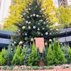 師走の風景・2024年の振り返り