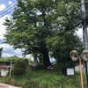 旧街道の旅人たちを見守り続けた 二つ塚の道標（秦野市）