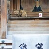 小さな稲荷の守り神
