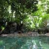 伊東温泉　緑風園　神社の森の中にある森林露天風呂に日帰り入浴