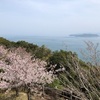 春の淡路島を気ままに海岸線沿いをぐるりとめぐる旅＜後編＞