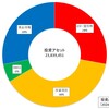 【初公開】投資アセット金額と各投資先の割合グラフを作ってみた！