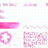 #0825 NOODLER'S Shah's Rose