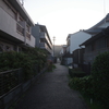 朝散歩