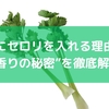カレーにセロリを入れる理由とは？“香りの秘密”を徹底解説