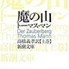 というか「ドイツ教養小説」とやらに挑戦してみんとす