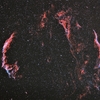 NGC6960とNGC6992：はくちょう座の網状星雲