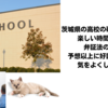 久々の出張