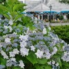 雨空に咲く花火