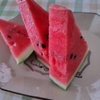 ふたり暮らしの適量