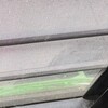 雨天続き。家猫は、まったりと室内で過ごし、ノラたちはお腹をすかす？