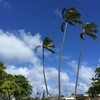 【ハワイ】旅行に行くなら知っておきたいコロナ最新情報3月17日時点