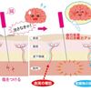 ★太鼓判？！を押されました。