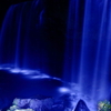 夜の滝