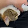 パパときなこもちはラブラブです╰(*´︶`*)╯♡
