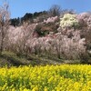 お別れと「群青」と