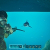 水中の探索ができるペットを準備中【ARK:SA　ASAのラグナロクでもひろいもの生活できるかな？　その９】